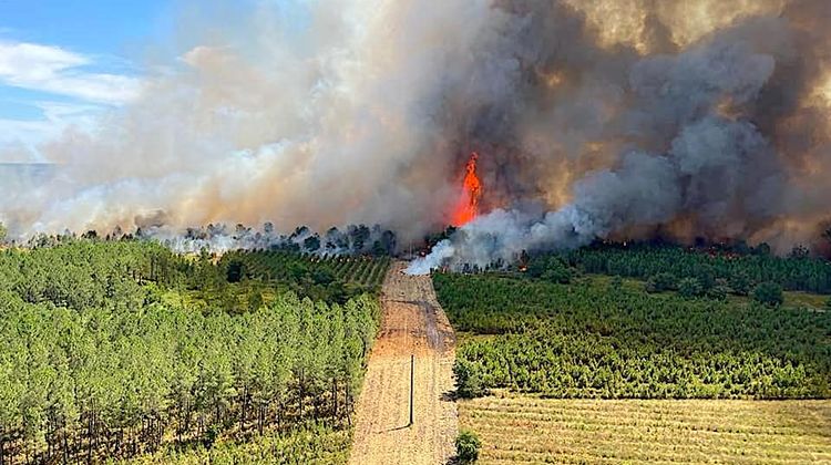 1500 COUPS DE POUCE – Différentes cagnottes pour les sinistrés dans les Landes